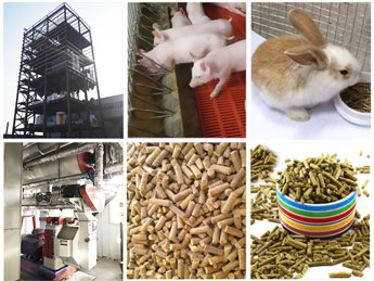 動物飼料生產(chǎn)線